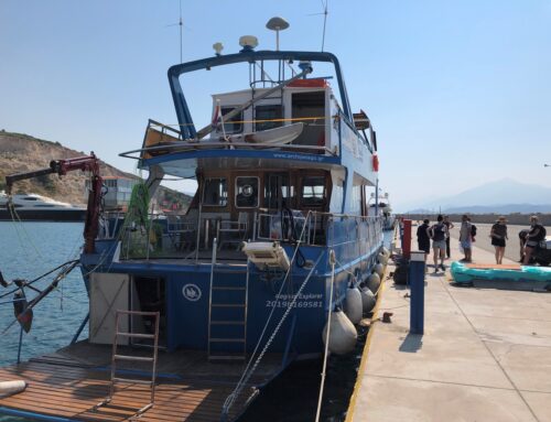 Iain Chambers, Learning from the sea: migration and maritime archives.